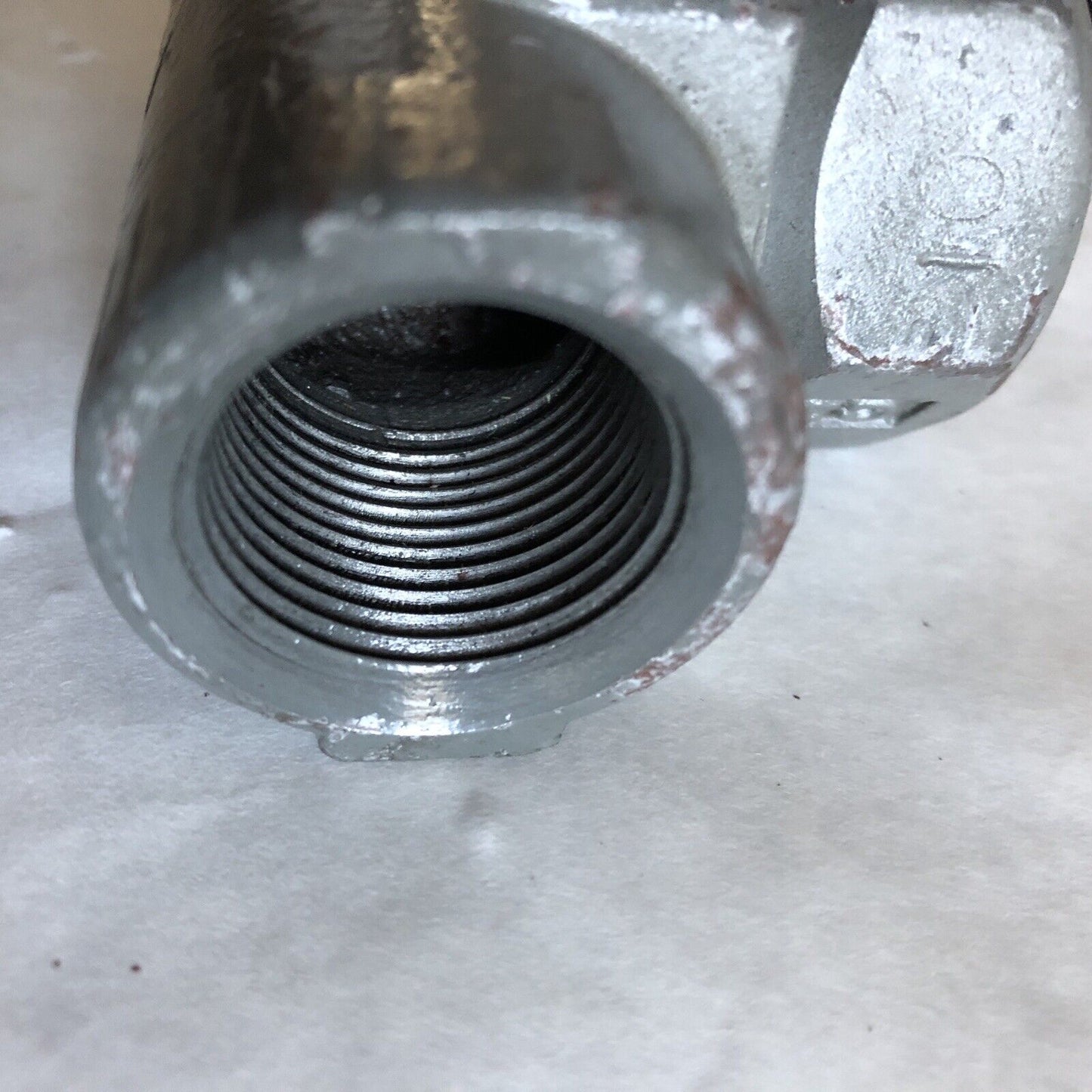 New 3/4" Npt Armstrong Cd33l Pmo 4.1Mpa 600Psig Disc Steam Trap,Ay