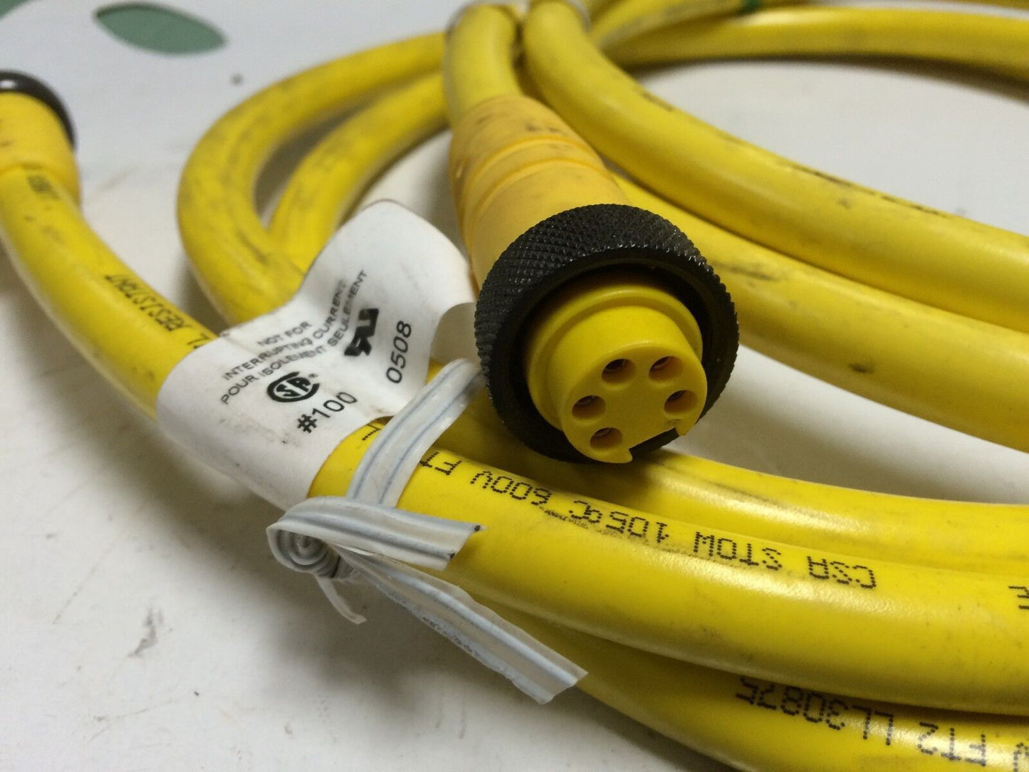 New Servo/ Encoder Cable, Lumberg Rk 50-677/6Ft,By