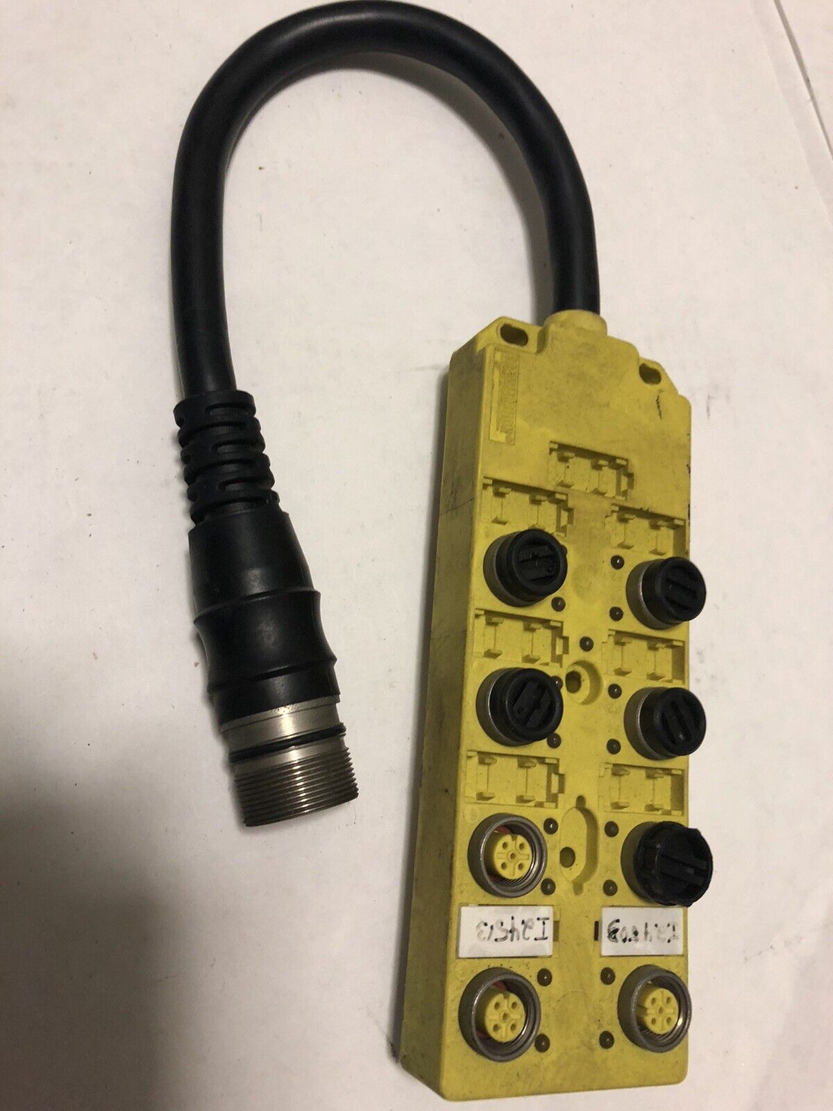 Brad Harrison Bty-814-P-Fbp-003 Actuator/Sensor Servo/ Encoder Cable ,Ez