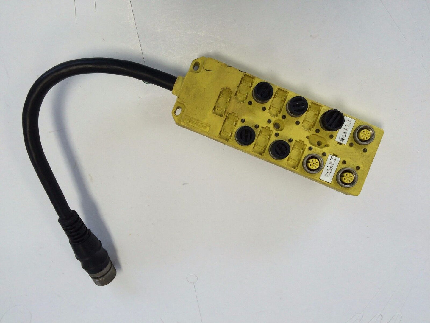 Brad Harrison Bty-814-P-Fbp-003 Actuator/Sensor Servo/ Encoder Cable ,Ez
