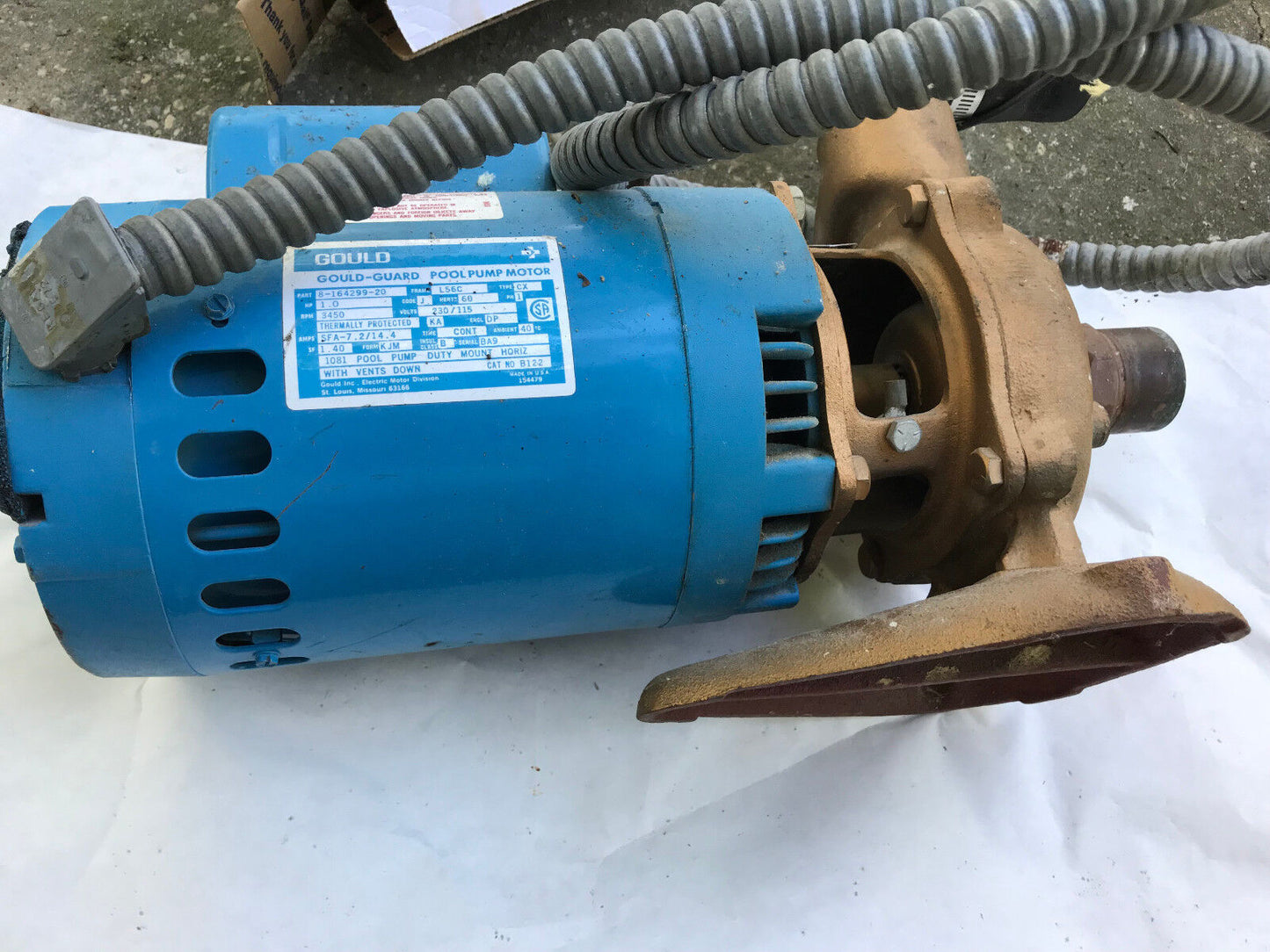 Gould 8-164299-20 Pool Pump Motor,Gould-Guard,1081 Pool Pump,Aqua A Q10,Aq10,Tg