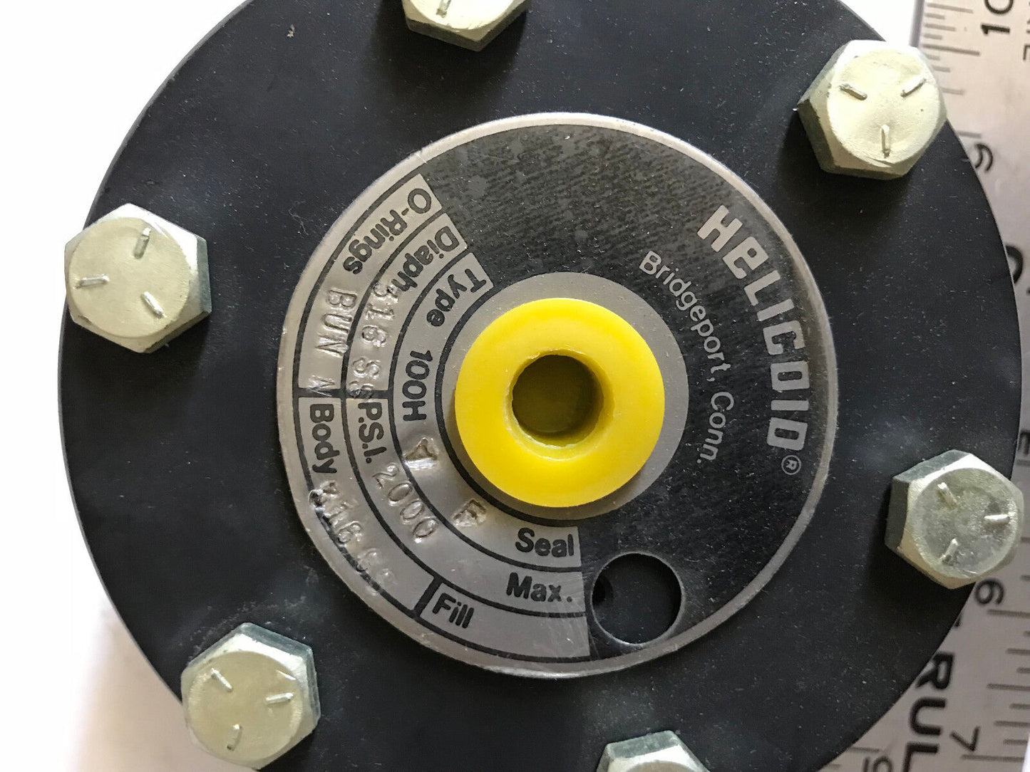 New Helicoid 100Ha,316Ss,100H A F Diaphragm Seal 1/4" Upper Steel 1/2" Lower,Ep