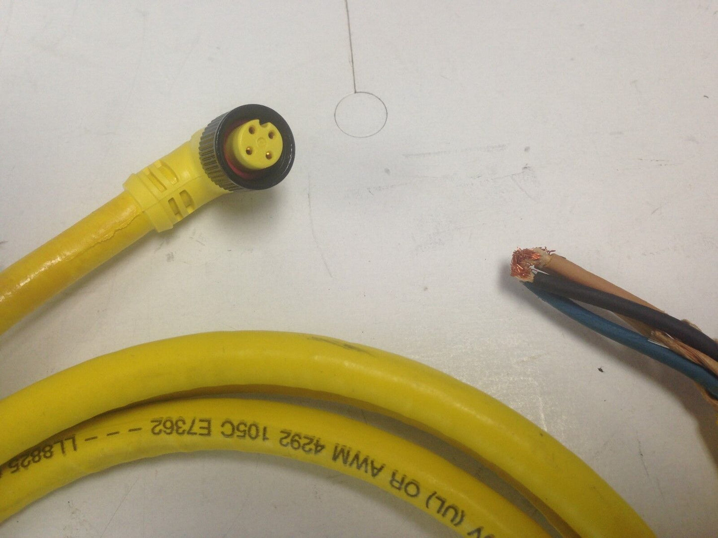 New Daniel Woodhead 804001C02m020  300V 4 Amps Cable Assembly, Cordset,Di