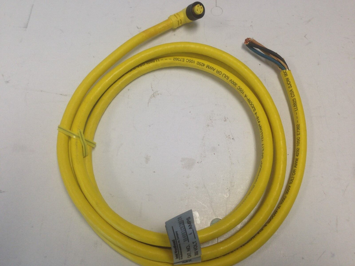 New Daniel Woodhead 804001C02m020  300V 4 Amps Cable Assembly, Cordset,Di