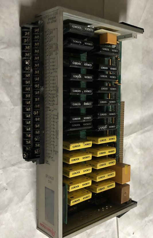 Robotron S-400,Robotron 503-1-0324-07, I/O Module 24V ,Ee