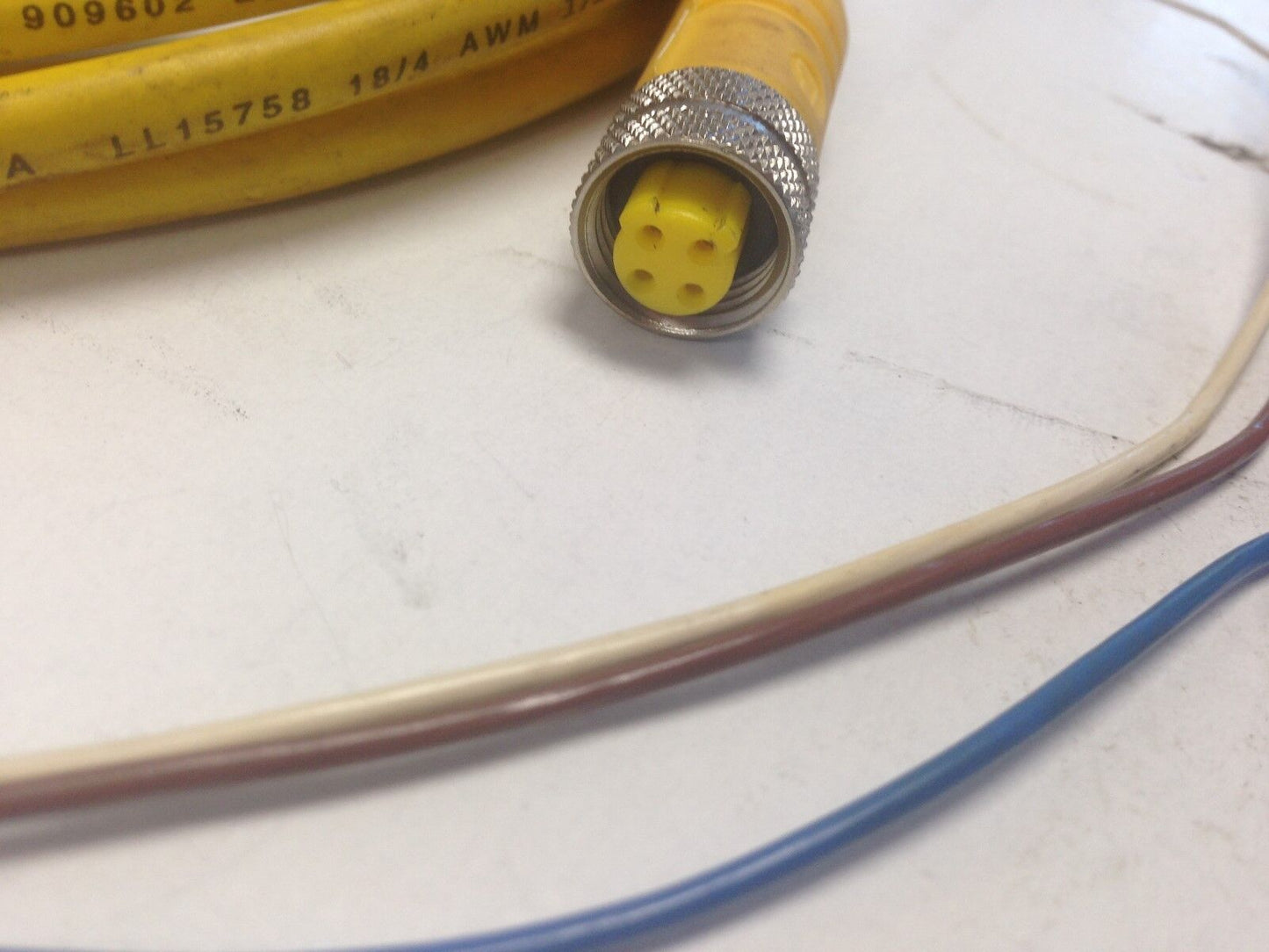 New Lumberg Rkt 4U-602/15Ft Cable Assembly, Cordset,Di